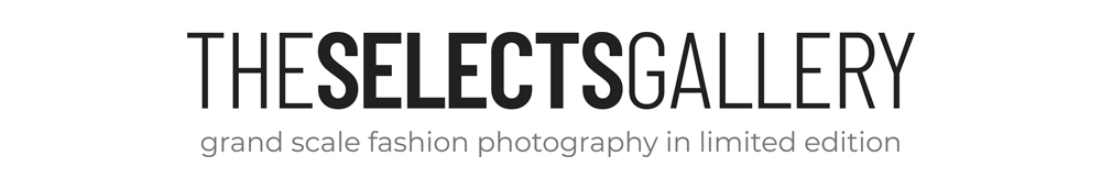 Selects Logo